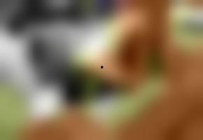 欧美视频国产2018,跨文化碰撞与融合的视觉盛宴